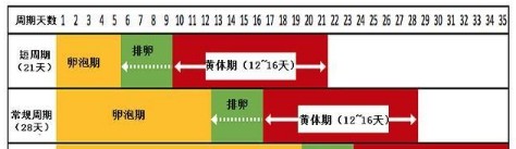 怀孕多少天从哪天开始算