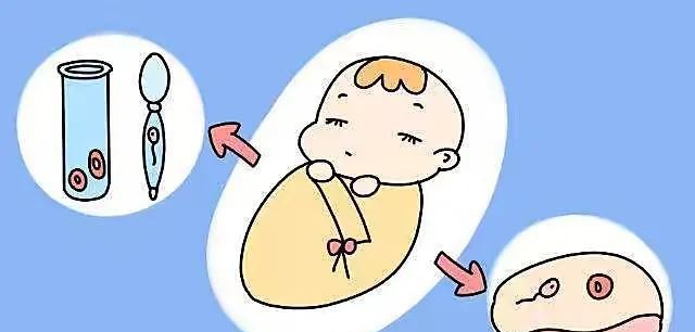 什么样的人怀双胞胎的几率更大呢