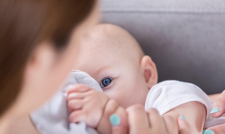 认母的关键期是什么时候（婴儿什么时候认识父母）