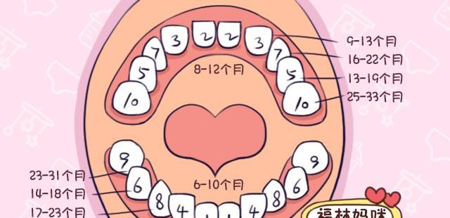 宝宝长牙顺序讲解（关于宝宝长牙的小知识）