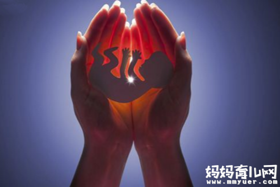 胚胎发育的各个时期图 原来胚胎在肚子里是这副模样