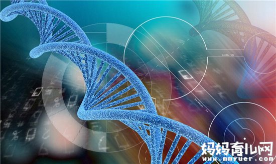 性格跟基因遗传有关吗 遗传基因给后代带来了什么