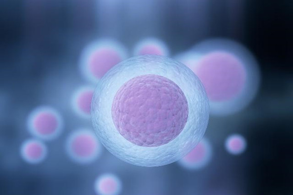 卵泡期症状和注意事项 想怀却怀不上的你了解多少