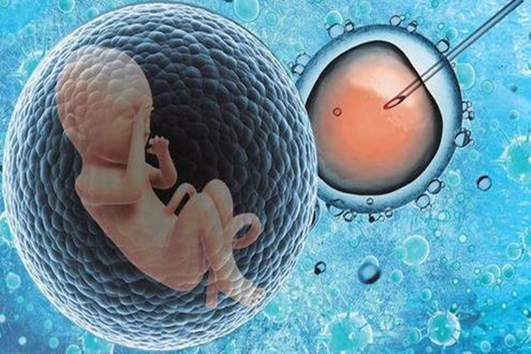 试管婴儿费用大约多少 不同档次的医院收费也是不一样的