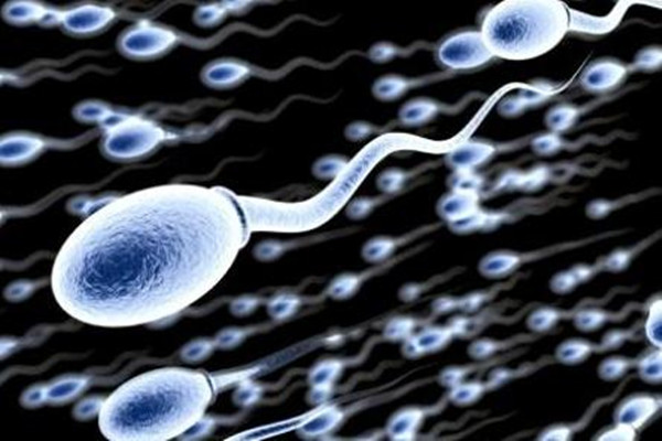 y精子在哪个季节最活跃 想生儿子的人一定要看看
