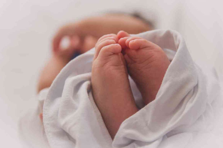 现在去加拿大生孩子在教育上有哪些利与弊呢？