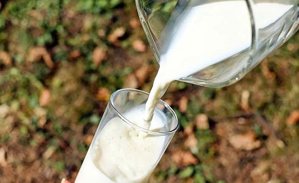 2023宝宝纯牛奶哪个牌子好？适合宝宝喝的十大纯牛奶品牌