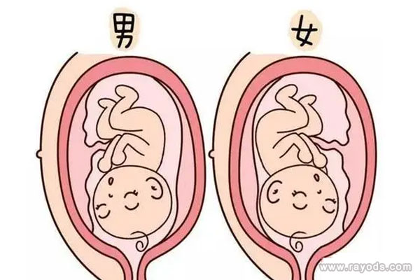 排卵日当天生男孩的这种说法准吗？