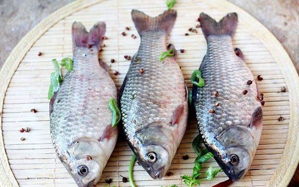 最适合孩子吃的八种鱼，孩子吃鱼的最佳做法