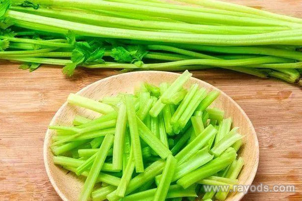 坐月子期间可以吃芹菜吗？