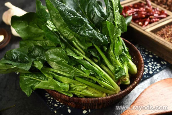 坐月子可以吃菠菜吗？