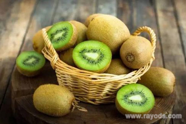 坐月子可以吃猕猴桃吗？