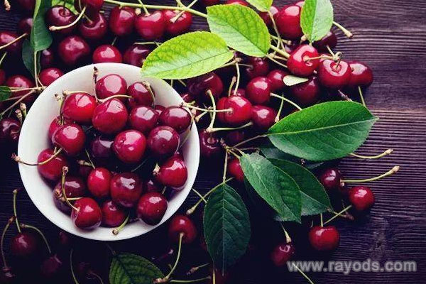 坐月子可以吃车厘子吗？