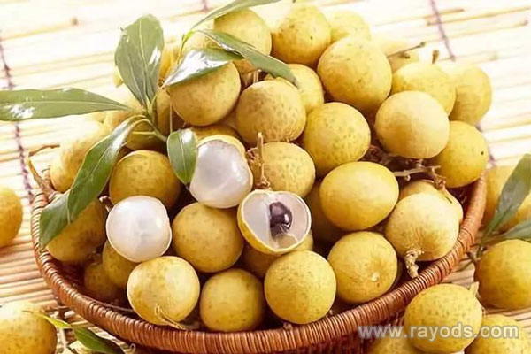 坐月子能吃桂圆吗？