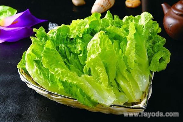 坐月子可以吃生菜吗？