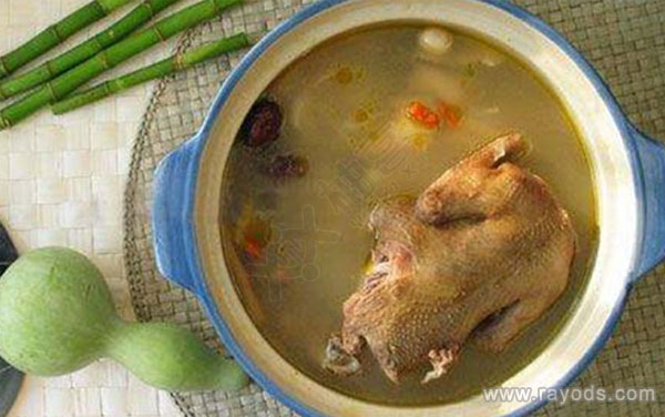 产后下奶不止产妇鸽子汤！坐月子催乳食物大汇总