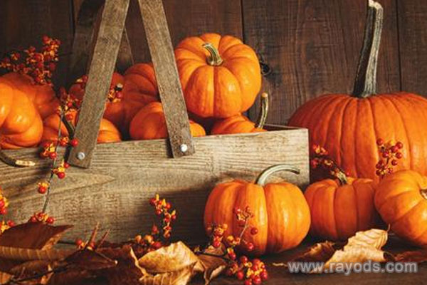 孕妇可不可以吃南瓜？孕妇吃南瓜胎儿会黄吗？