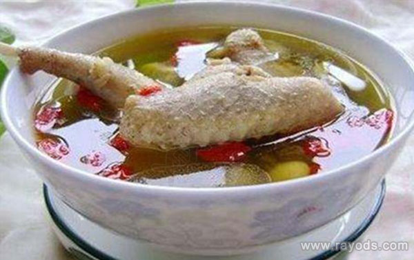 催奶、保健？产妇鸽子汤的作用与功效全解析