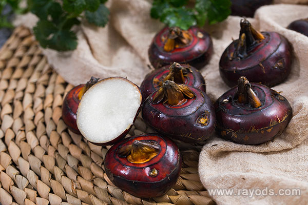 哺乳期可以吃马蹄吗 马蹄虽小但营养充足但吃无妨