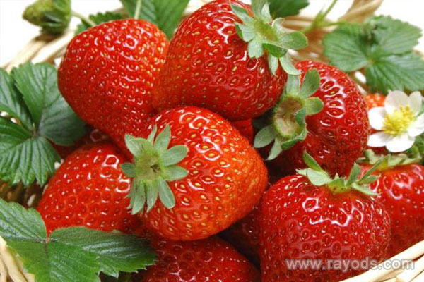 坐月子可以吃草莓吗？