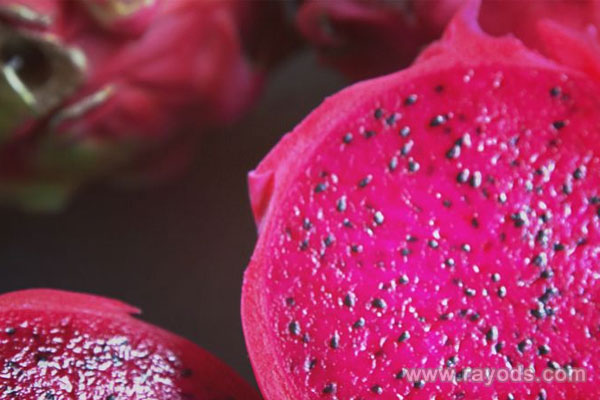 坐月子可以吃火龙果吗？