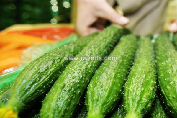 坐月子能吃黄瓜吗？