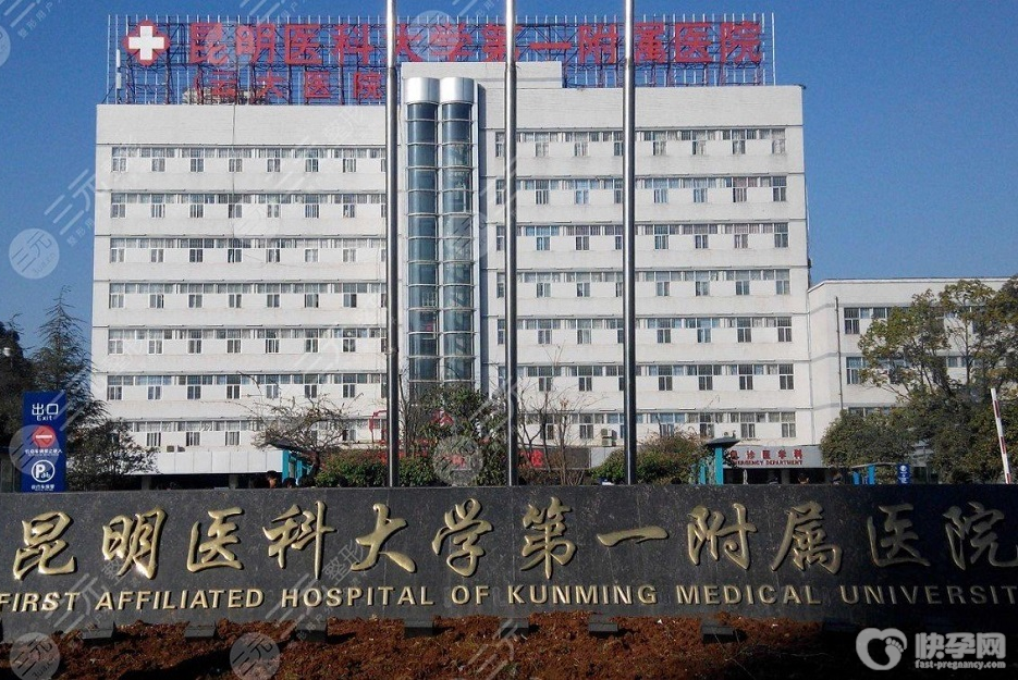 昆明医科大学第一附属医院