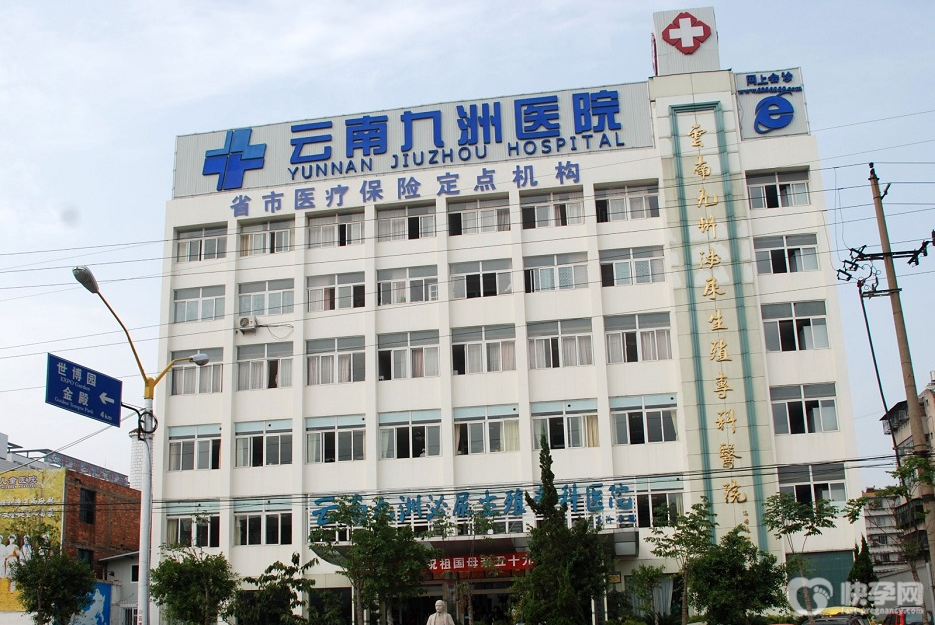 云南九洲医院