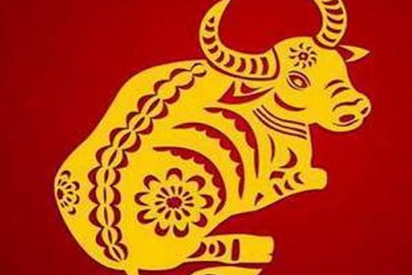 牛年本命年忌红色吗 本命年什么颜色犯冲