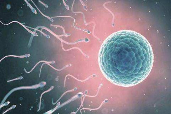 女性排卵一般几天 排卵日当天同房易生男孩还是女孩