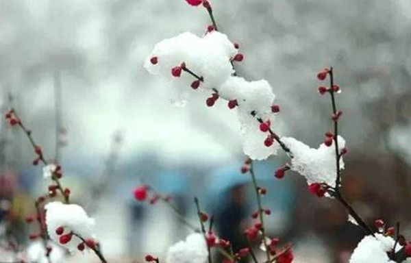 “有福六八月，无福正腊月” 为什么腊月生人命不好