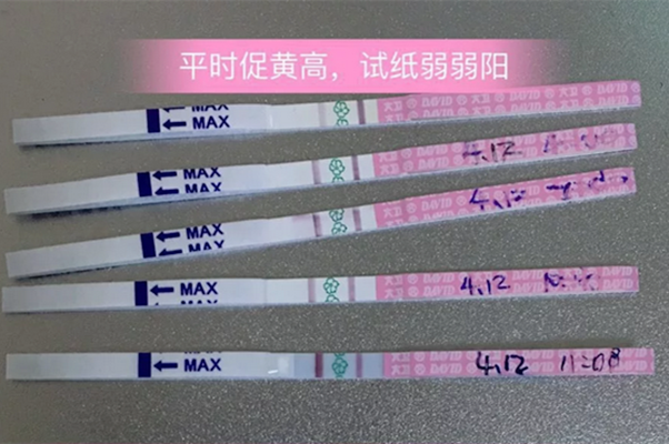 大卫排卵试纸准吗 大卫排卵试纸怎么看