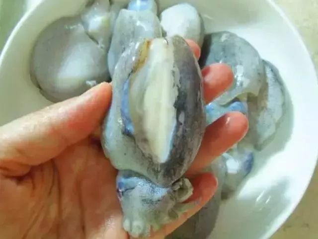 产妇能吃什么海鲜下奶?