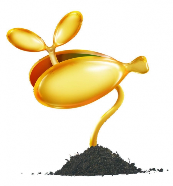 dha是什么东西起什么作用(dha指的是什么东西