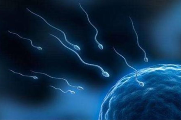 精子接触空气多久死亡 在体外的存活是时间是多少