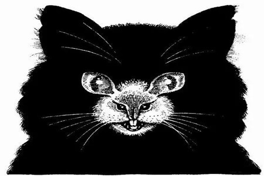 最准的15道心理测试 测试后简直是准到可怕