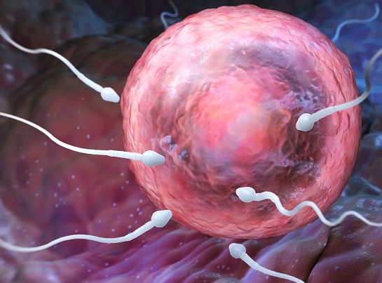 男性备孕检查有哪些项目（男性备孕注意事项）