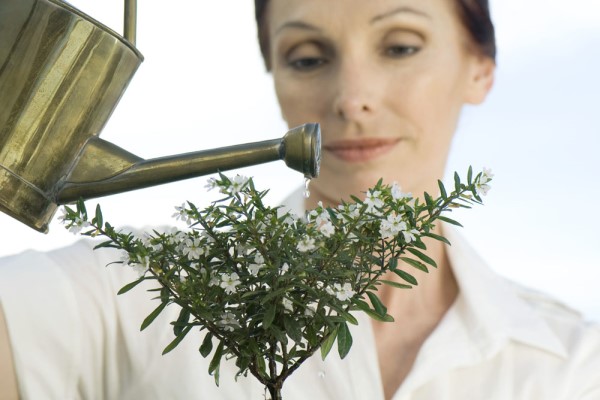 47岁高龄备孕成功经验 成功的经验之谈值得学习