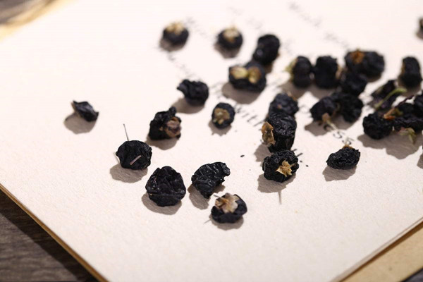 备孕可以喝黑枸杞吗 黑枸杞有助于备孕是真的吗？