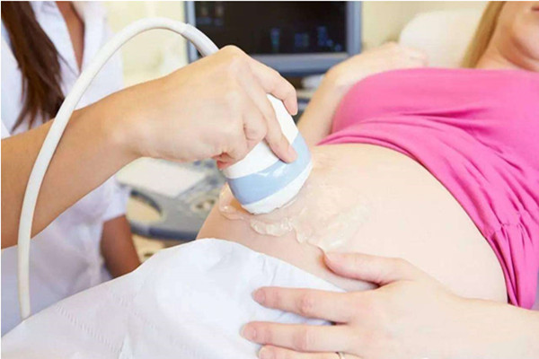 备孕前吃什么调理身体（备孕吃什么提高受孕率）