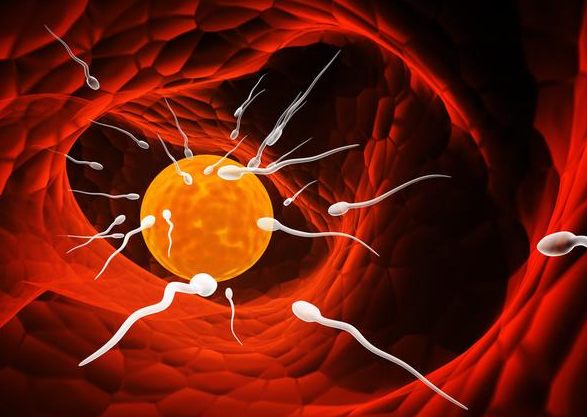 女性结婚受孕最佳时间是哪几天（这3点备孕常识要早知道）