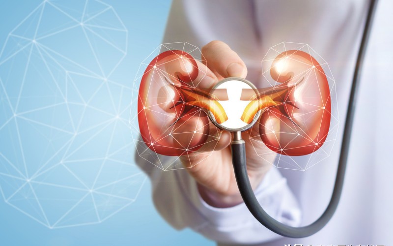 早早孕试纸准确率有多高（早孕试纸的使用方法）