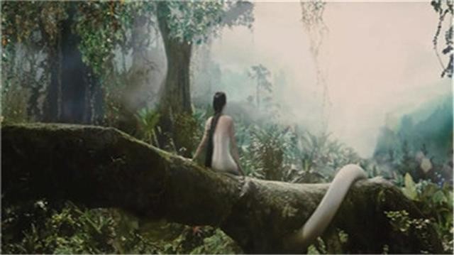 准备怀孕需要做些什么