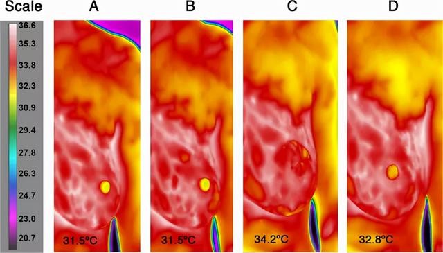 男士夏季科学备孕男宝宝