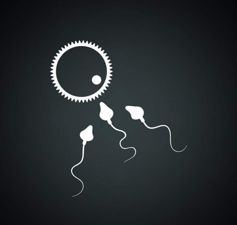 月经周期中排卵期的计算方法