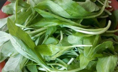 女人什么时候最容易怀孕