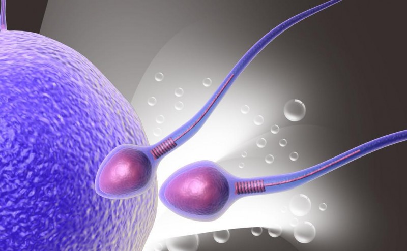 正常夫妻受孕率是多少