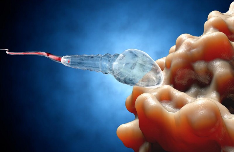 精子成果冻状正常吗