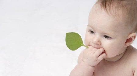 牙胶什么时候用讲解（什么时候给宝宝用牙胶才好）