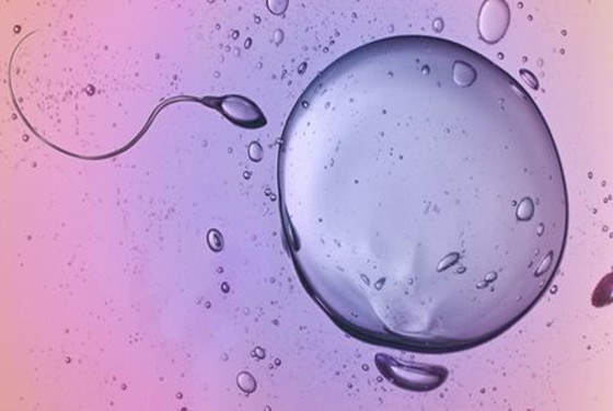 女性卵泡发育不好的原因 竟与这么多健康问题息息相关